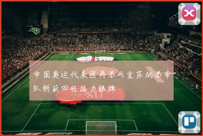 中国奥运代表团再添两金苏炳添率队斩获田径接力银牌