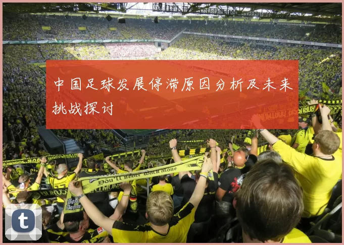 中国足球发展停滞原因分析及未来挑战探讨
