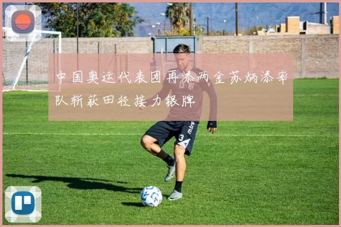 中国奥运代表团再添两金苏炳添率队斩获田径接力银牌