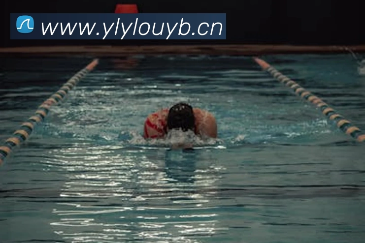 平台展示图