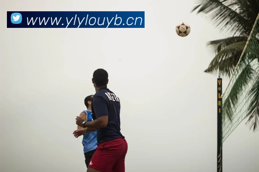 多媒体互动体验