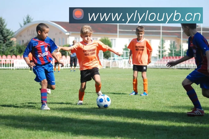 6686在线登录官网入口 - 6686(中国)APP 高清赛事图